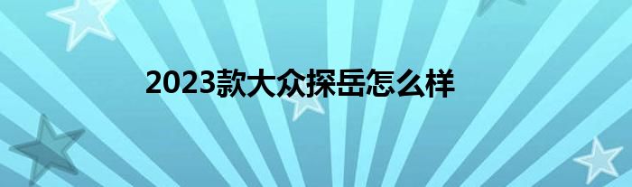2023款大众探岳怎么样