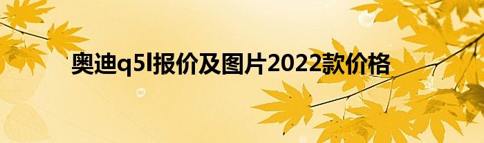 奥迪q5l报价及图片2022款价格