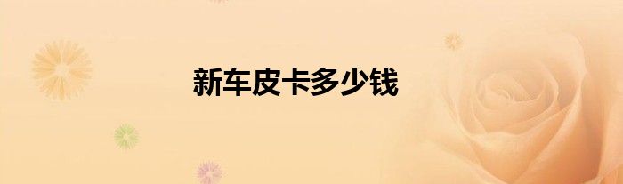 新车皮卡多少钱