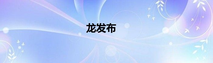 龙发布