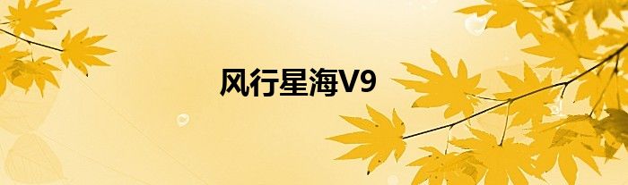 风行星海V9