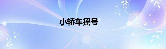 小轿车摇号