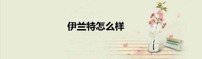 伊兰特怎么样
