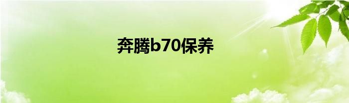 奔腾b70保养