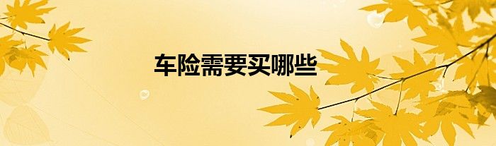 车险需要买哪些